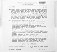 Podosphaera fuliginea image